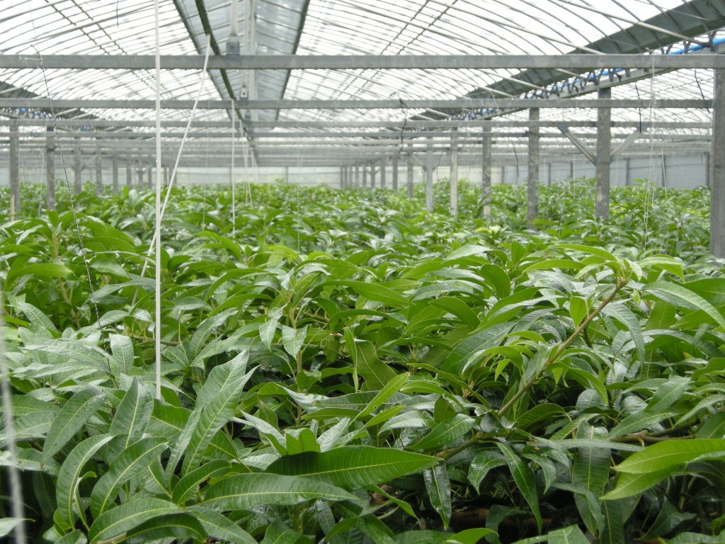 Agri Manager for smart agri